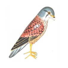 Wooden Standing Brown Seagull Bird 26 cm