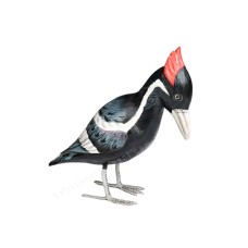 Wooden Ivory Billed Woodpecker Bird 25 cm