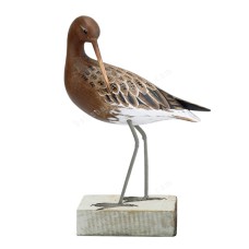 Wooden Godwit Preening On Base 30 cm 