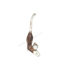 Wooden Mini Cat Stretching Brown White Wash 20 cm