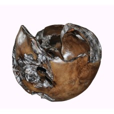 Reclaimed Teak Root Ball Irregular Shape 40 cm