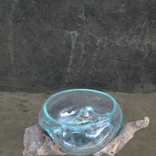 Molten Glass Fish Bowl On Driftwood 8 cm