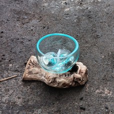 Molten Glass Terrarium On Driftwood 10 cm