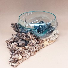 Molten Glass Terrarium On Driftwood 35 cm