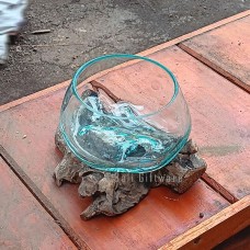 Molten Glass Terrarium On Driftwood 13 cm