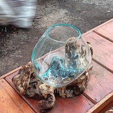 Molten Glass Terrarium On Driftwood 18 cm