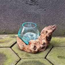 Molten Glass Terrarium On Driftwood 12 cm