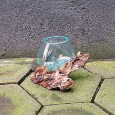 Molten Glass Fish Bowl On Driftwood 10 cm