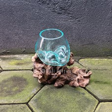 Terrarium Molten Glass On Driftwood 13 cm