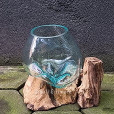 Terrarium Molten Glass On Driftwood 17 cm