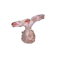 Parasite Wood Double Horse Head 26 cm