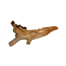 Parasite Wood Single Gecko 30 cm
