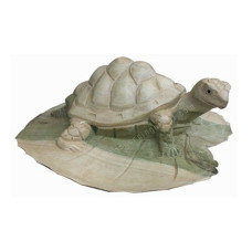 Parasite Wood Turtle On Lotus Leaf 15 cm